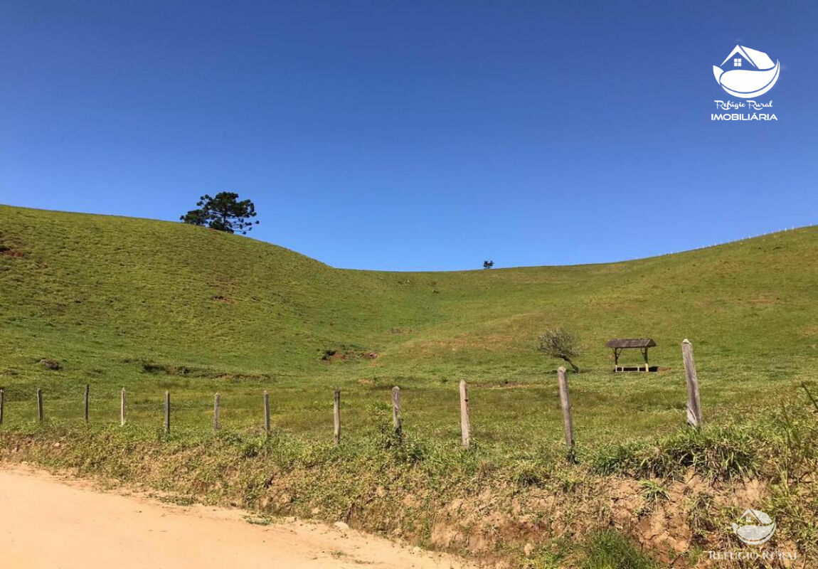 Fazenda à venda com 1 quarto, 169400m² - Foto 7