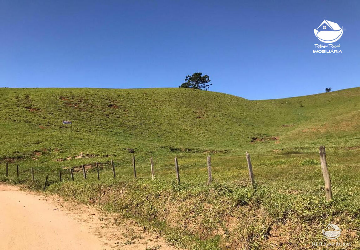 Fazenda à venda com 1 quarto, 169400m² - Foto 6