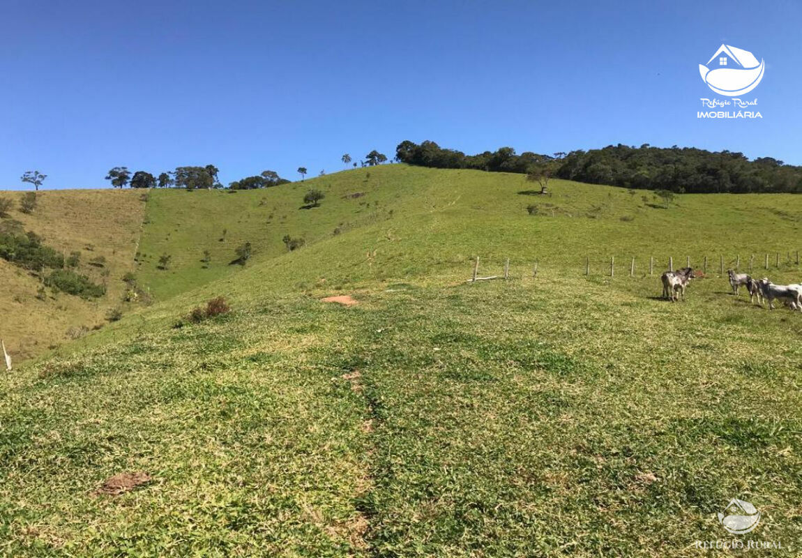 Fazenda à venda com 1 quarto, 169400m² - Foto 4