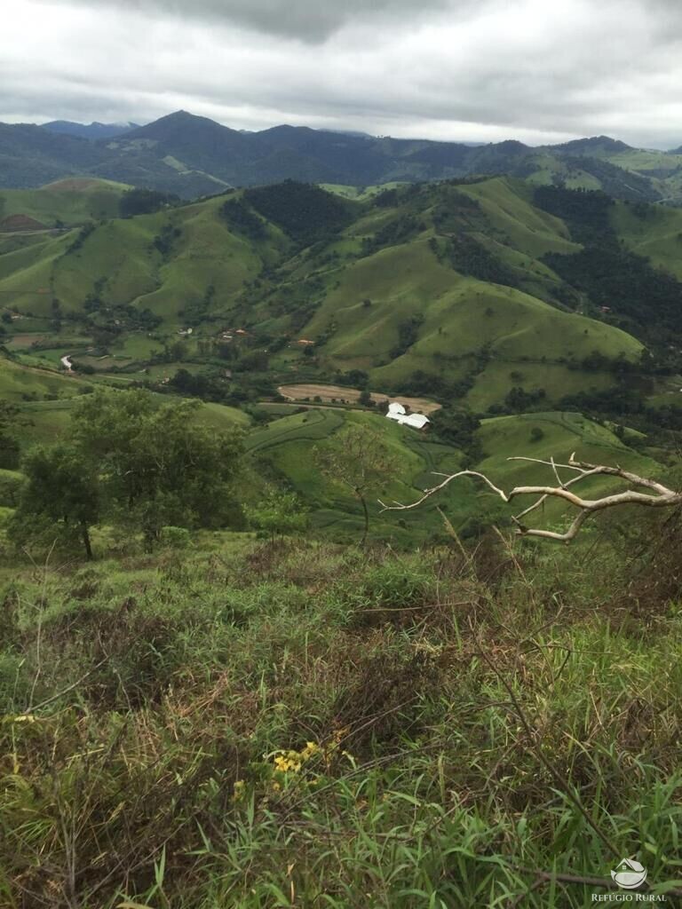 Fazenda à venda com 3 quartos, 860500m² - Foto 6