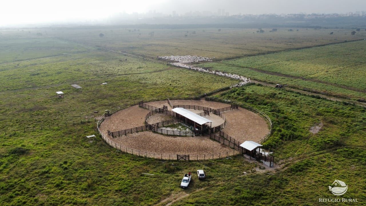 Fazenda à venda com 1 quarto, 3950000m² - Foto 7