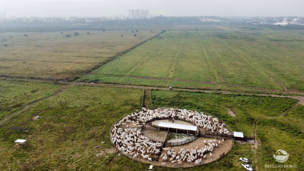 Fazenda à venda com 1 quarto, 3950000m² - Foto 5