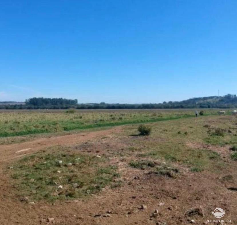 Fazenda à venda com 1 quarto, 3950000m² - Foto 12