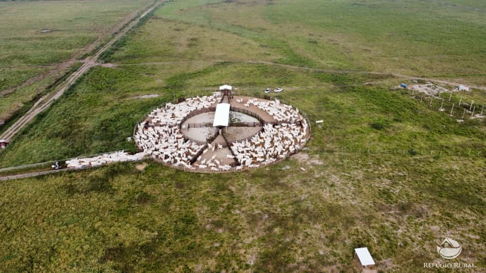 Fazenda à venda com 1 quarto, 3950000m² - Foto 6