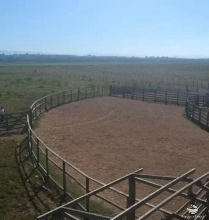 Fazenda à venda com 1 quarto, 3950000m² - Foto 14