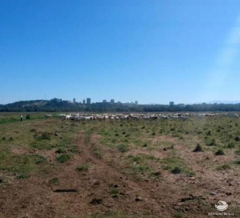 Fazenda à venda com 1 quarto, 3950000m² - Foto 10