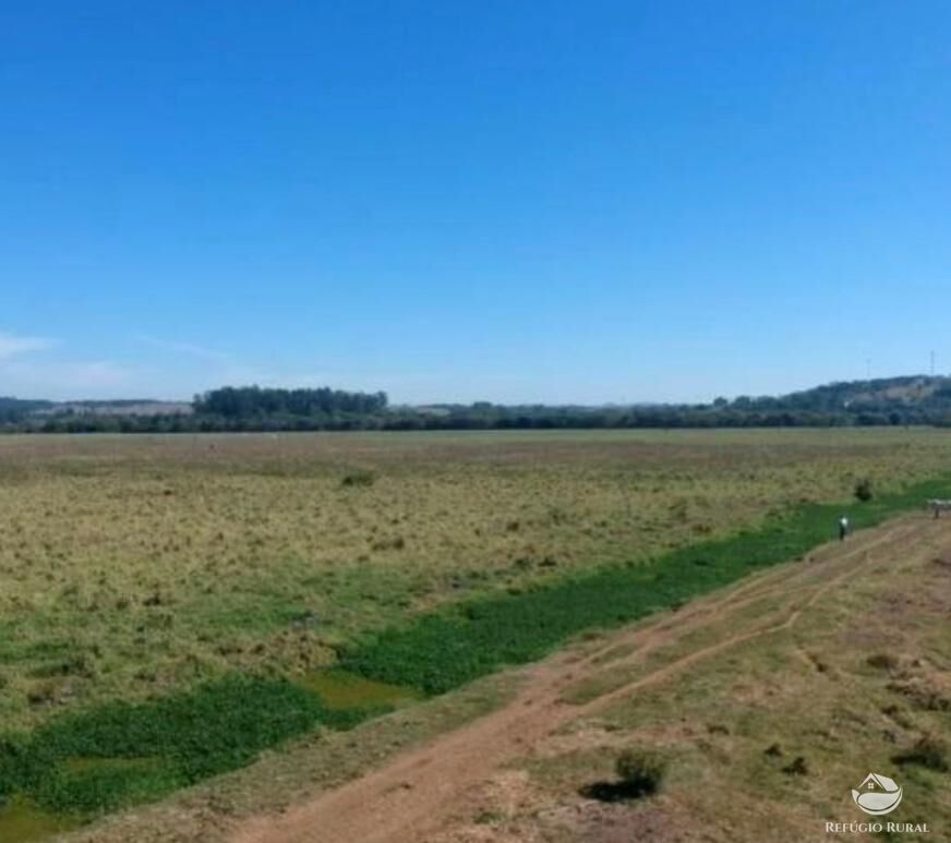 Fazenda à venda com 1 quarto, 3950000m² - Foto 13