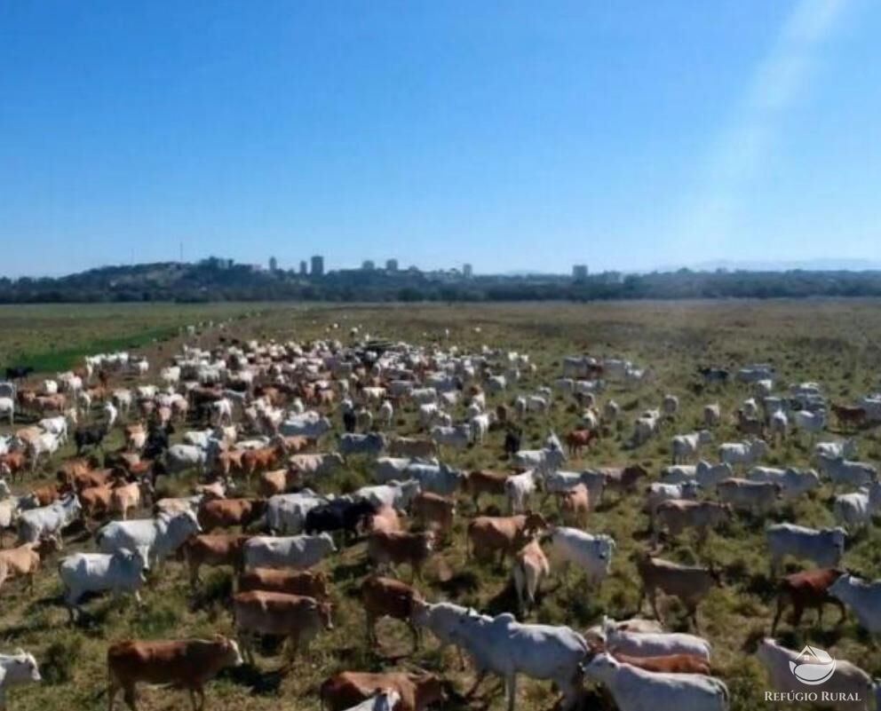 Fazenda à venda com 1 quarto, 3950000m² - Foto 3