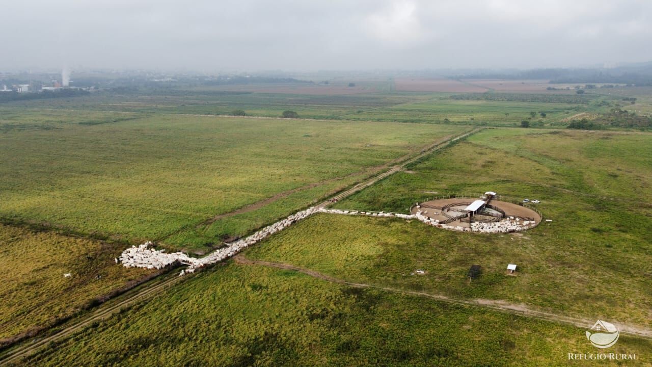 Fazenda à venda com 1 quarto, 3950000m² - Foto 2