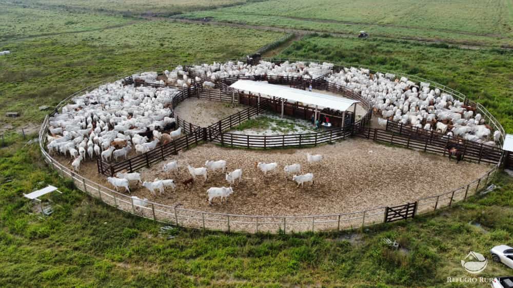 Fazenda à venda com 1 quarto, 3950000m² - Foto 8