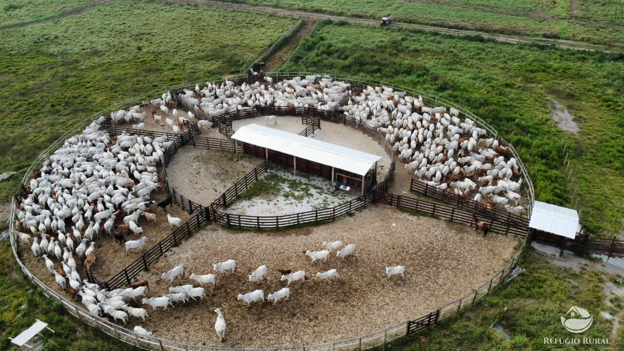 Fazenda à venda com 1 quarto, 3950000m² - Foto 1