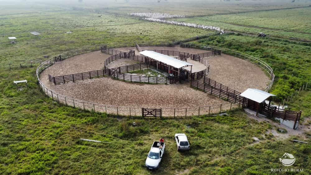 Fazenda à venda com 1 quarto, 3950000m² - Foto 4