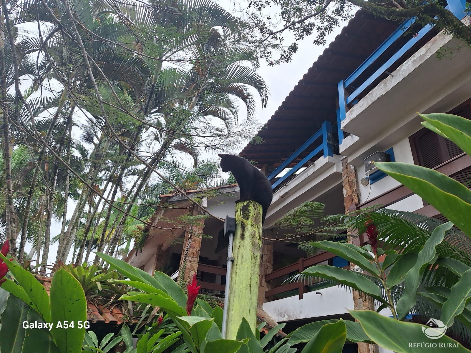 Hotel à venda com 12 quartos, 500m² - Foto 15