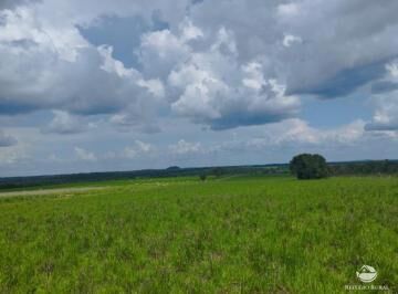 Fazenda, 484 hectares - Foto 5