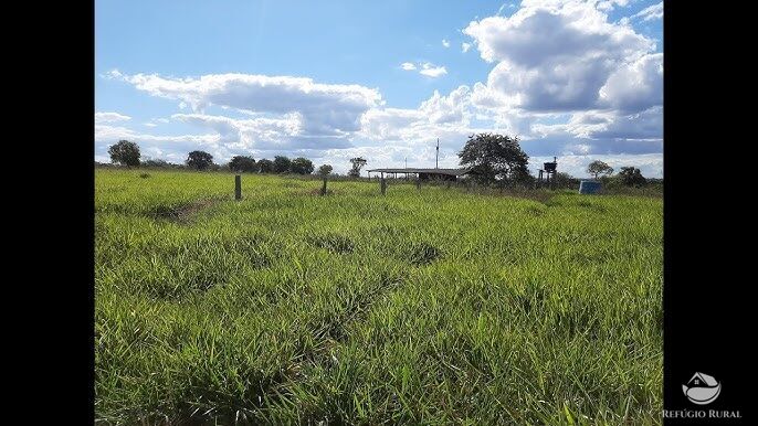 Fazenda, 484 hectares - Foto 3