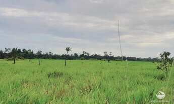 Fazenda, 484 hectares - Foto 4