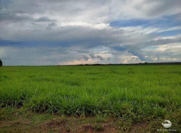 Fazenda, 484 hectares - Foto 2