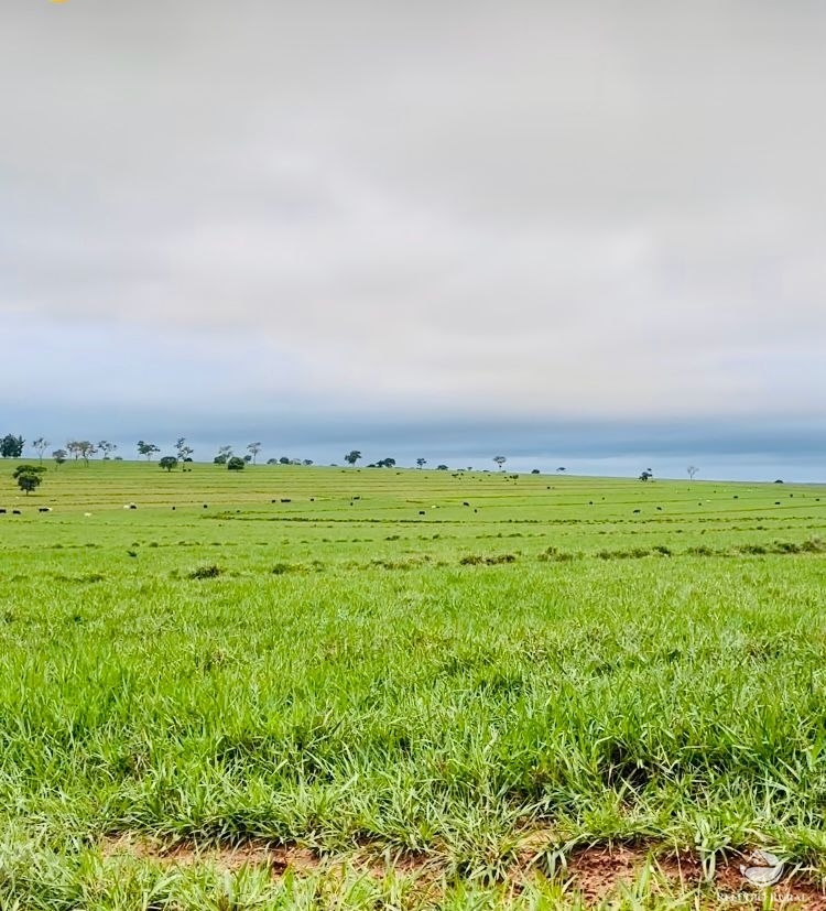 Fazenda à venda com 1 quarto, 8360000m² - Foto 1