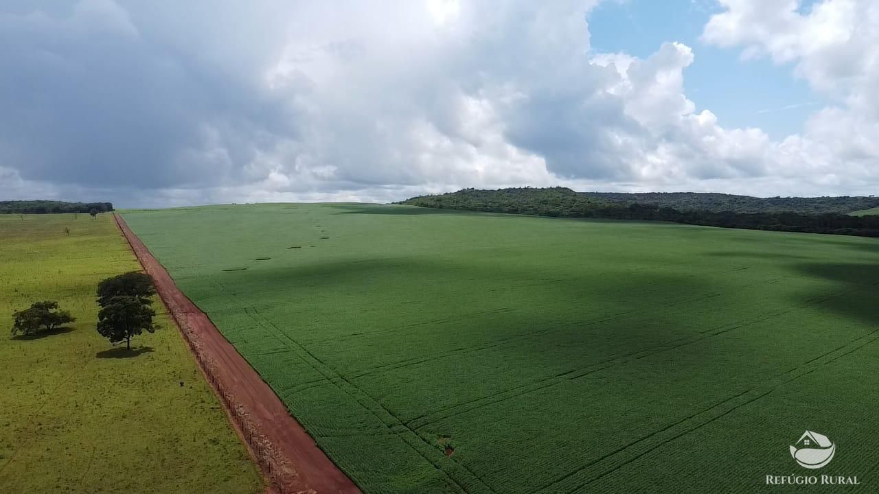 Fazenda à venda com 8 quartos, 13497100m² - Foto 14