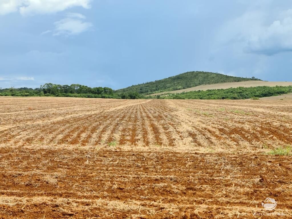 Fazenda à venda com 8 quartos, 13497100m² - Foto 19