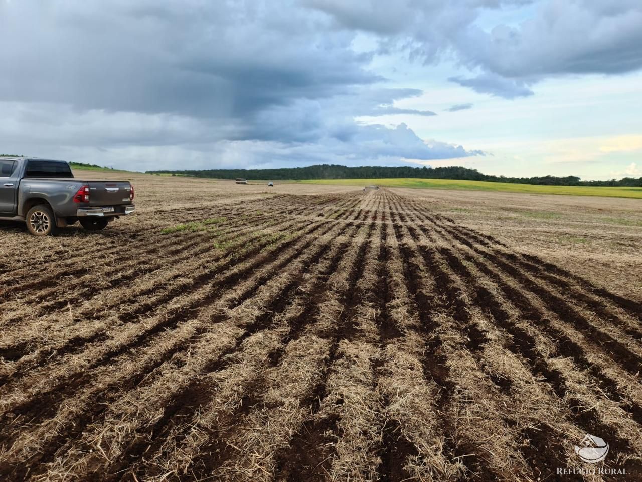 Fazenda à venda com 8 quartos, 13497100m² - Foto 12