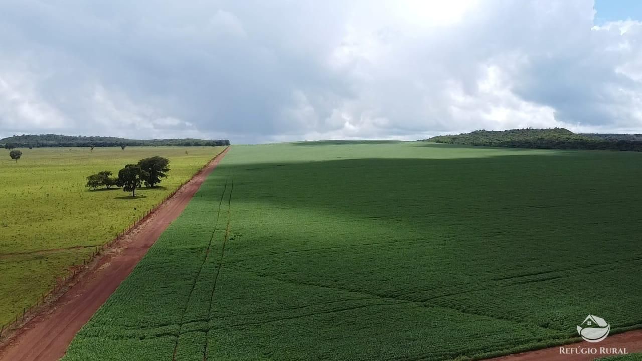 Fazenda à venda com 8 quartos, 13497100m² - Foto 2