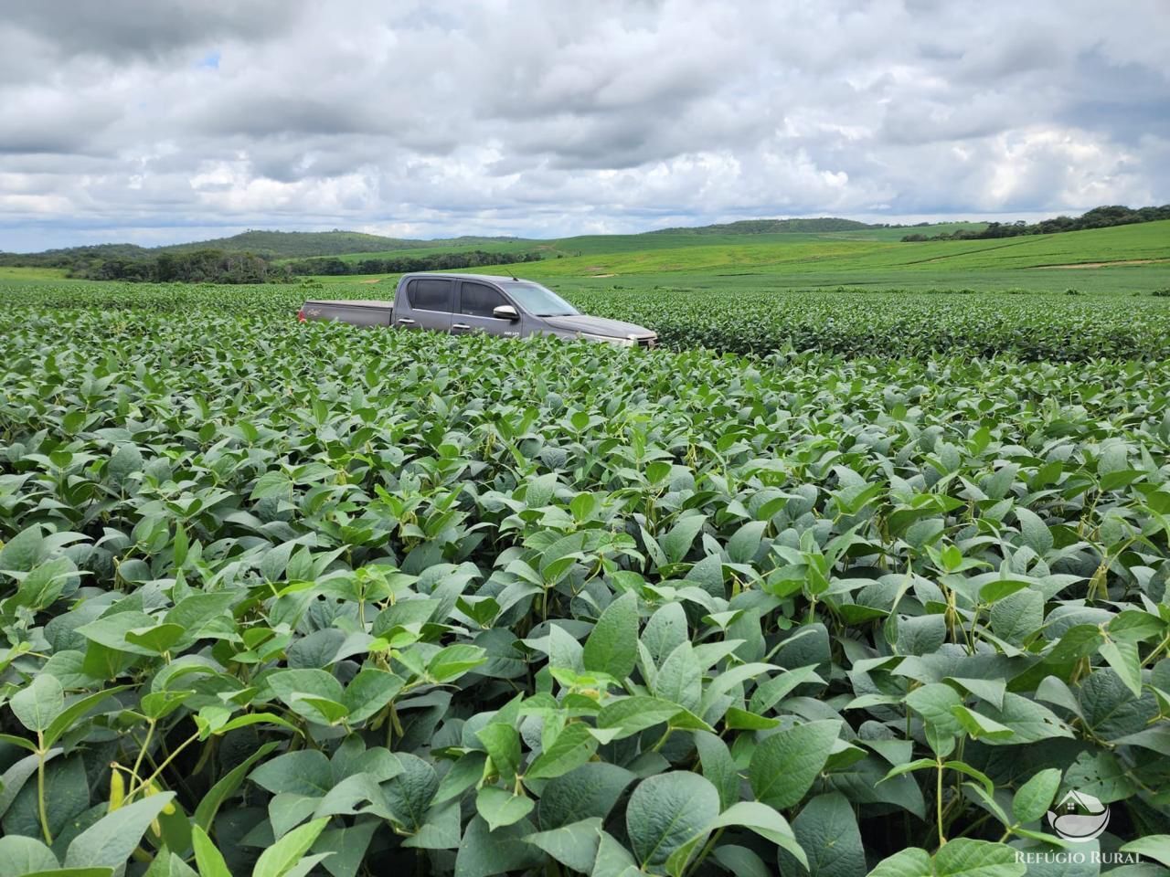 Fazenda à venda com 8 quartos, 13497100m² - Foto 4