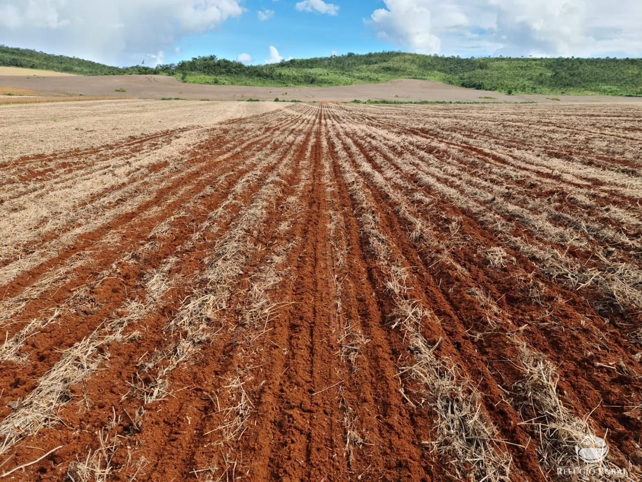 Fazenda à venda com 8 quartos, 13497100m² - Foto 3