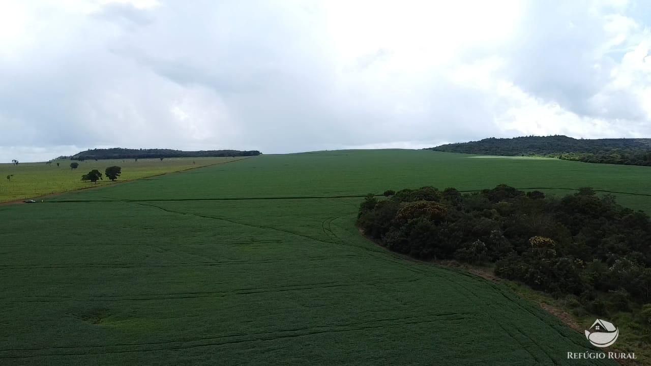 Fazenda à venda com 8 quartos, 13497100m² - Foto 16