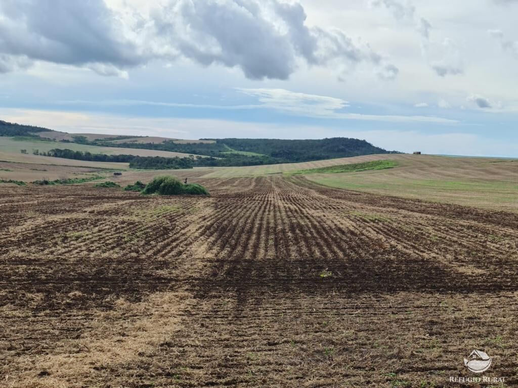 Fazenda à venda com 8 quartos, 13497100m² - Foto 18