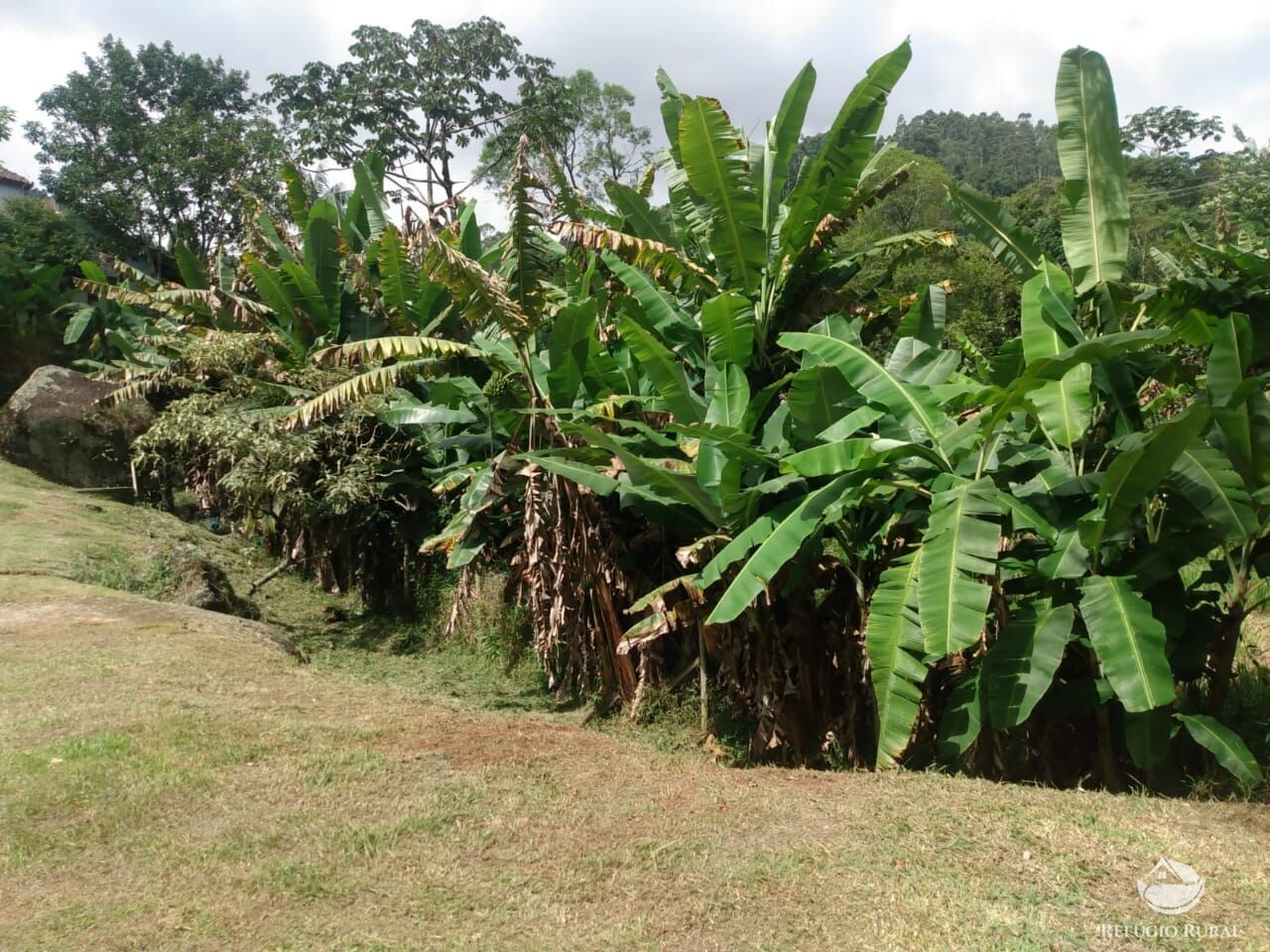 Fazenda à venda com 3 quartos, 1000m² - Foto 12