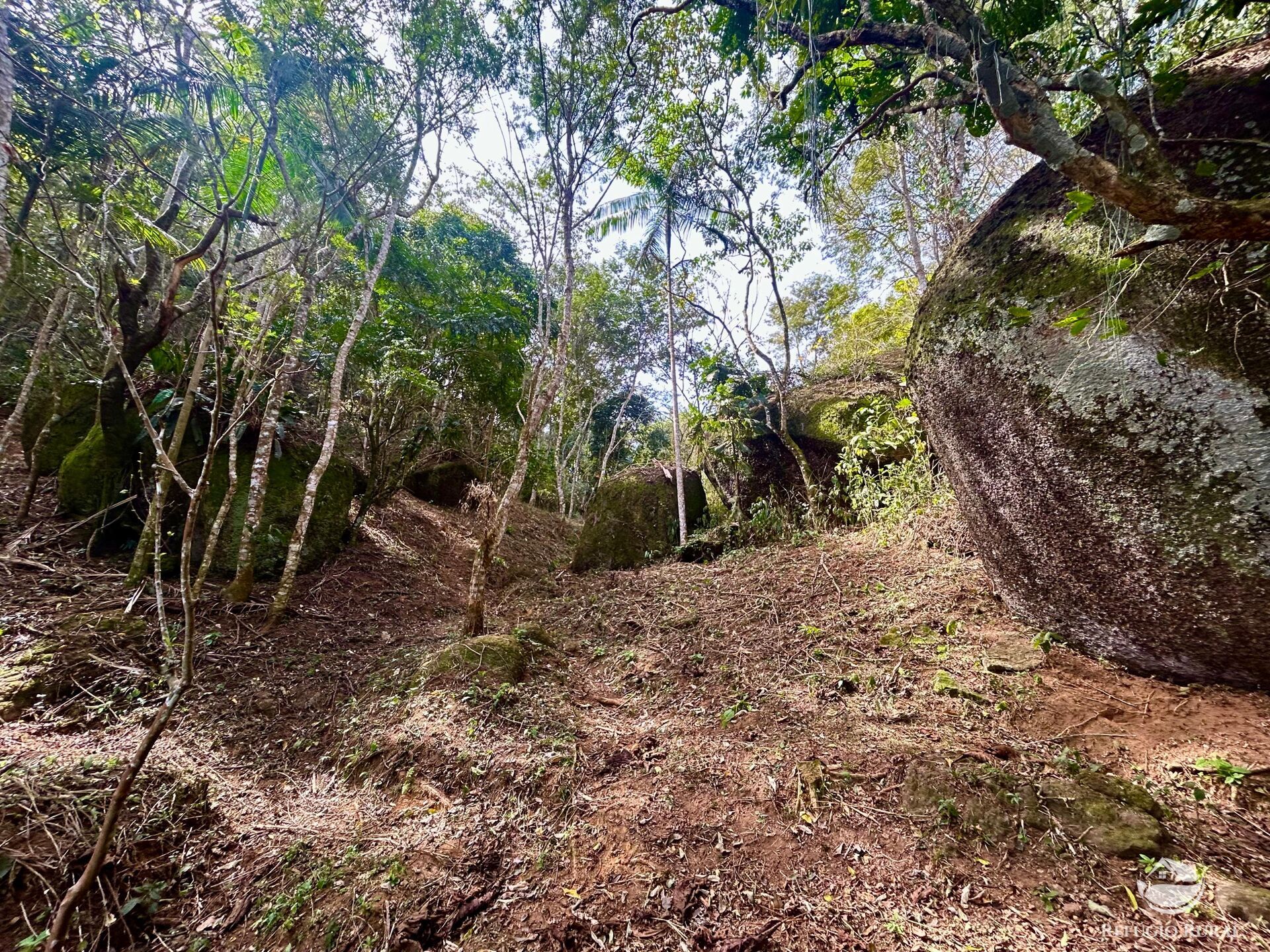 Terreno à venda, 40000m² - Foto 13