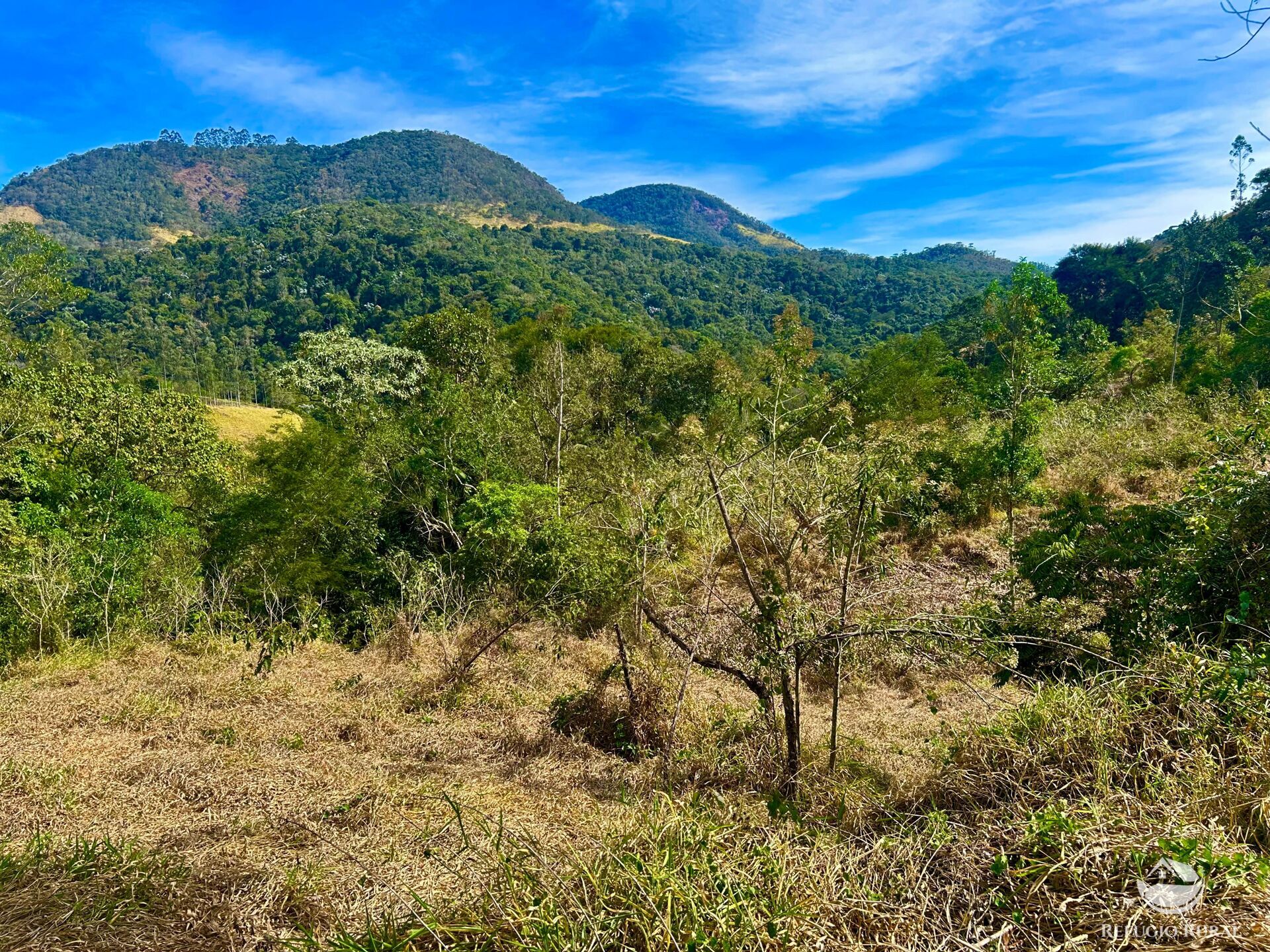Terreno à venda, 40000m² - Foto 3
