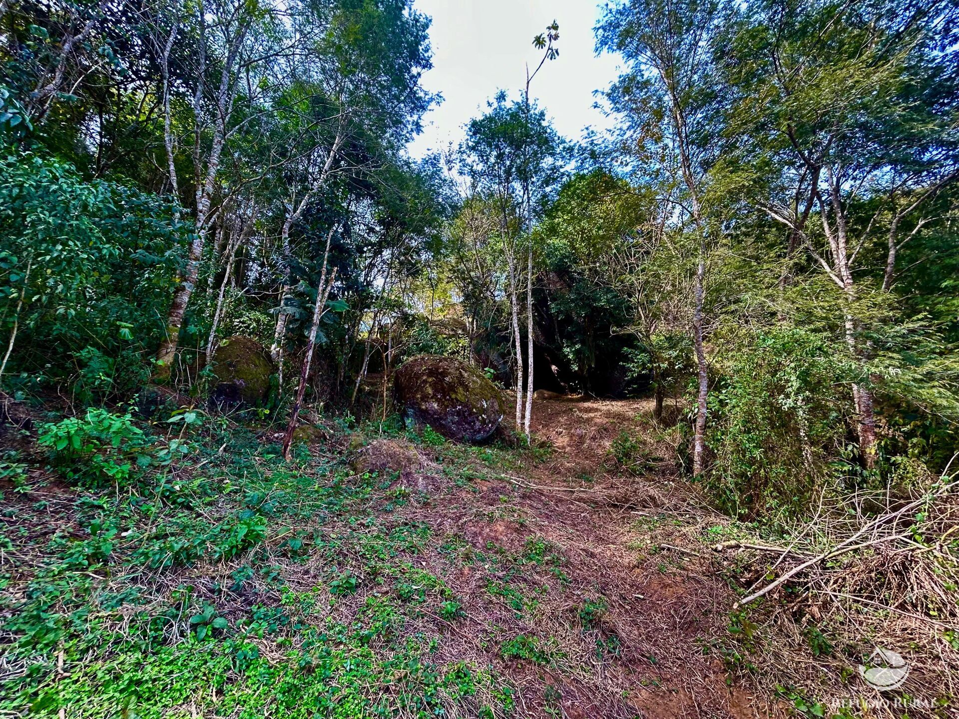 Terreno à venda, 40000m² - Foto 7