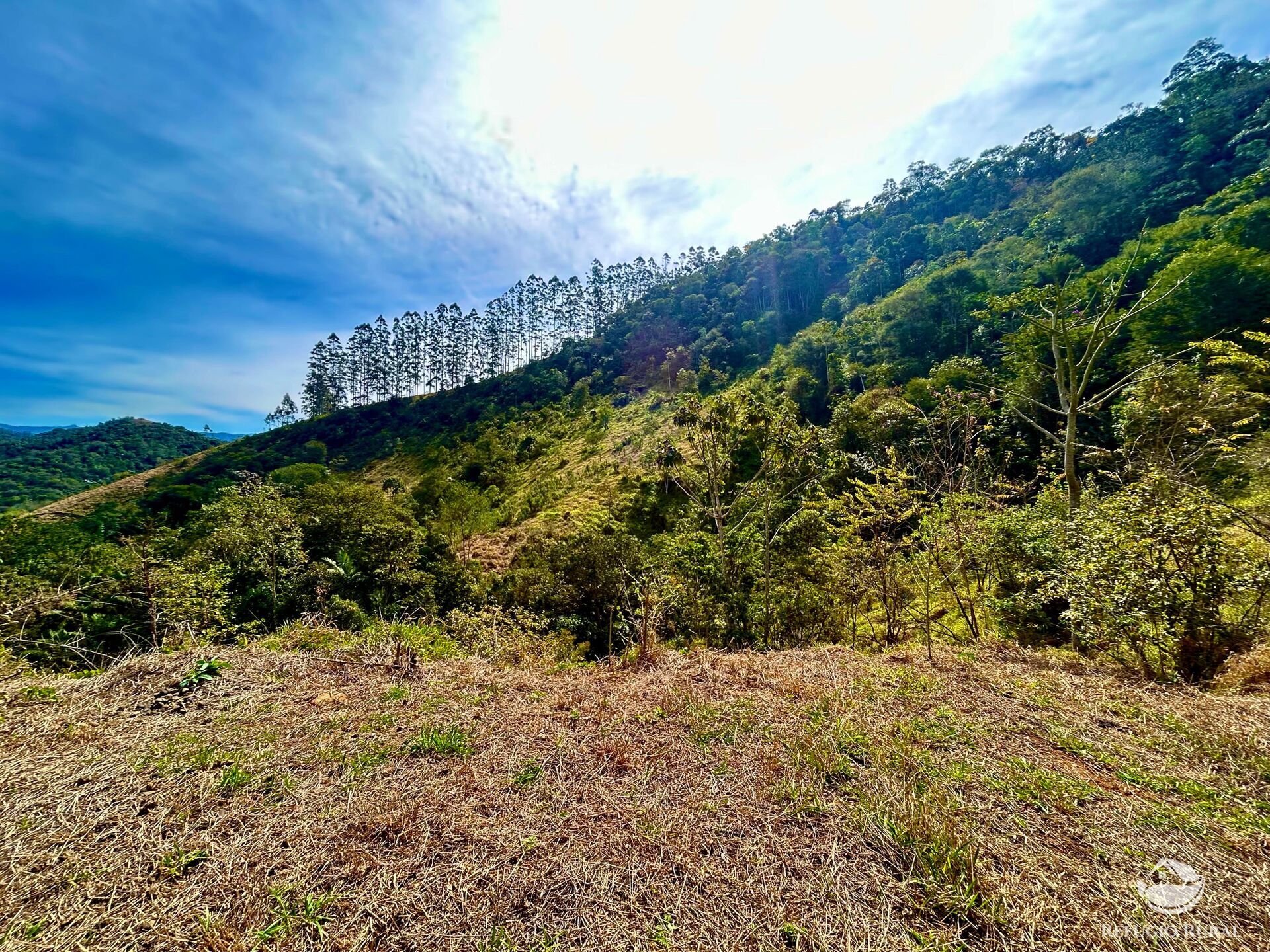 Terreno à venda, 40000m² - Foto 2