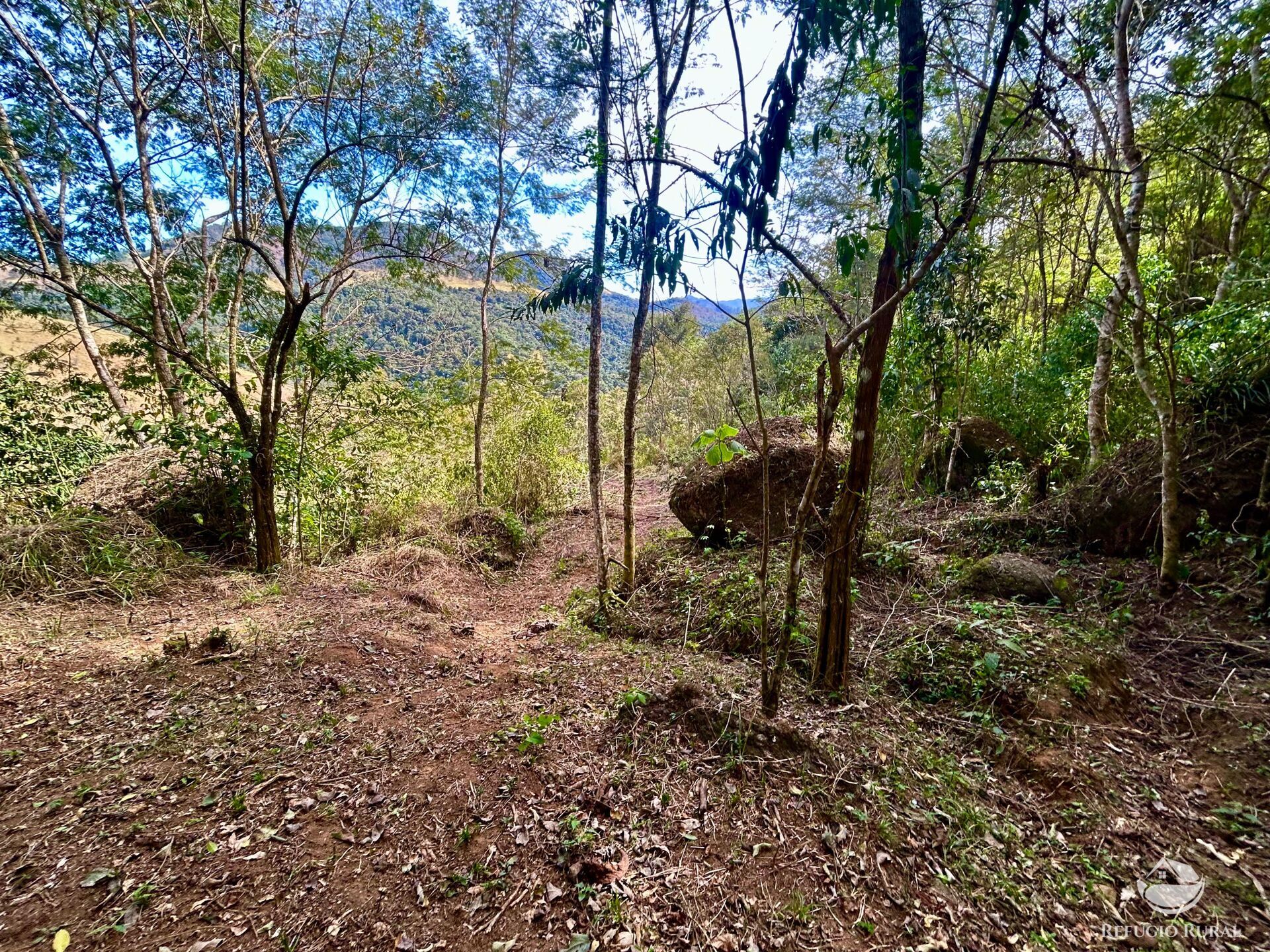 Terreno à venda, 40000m² - Foto 11
