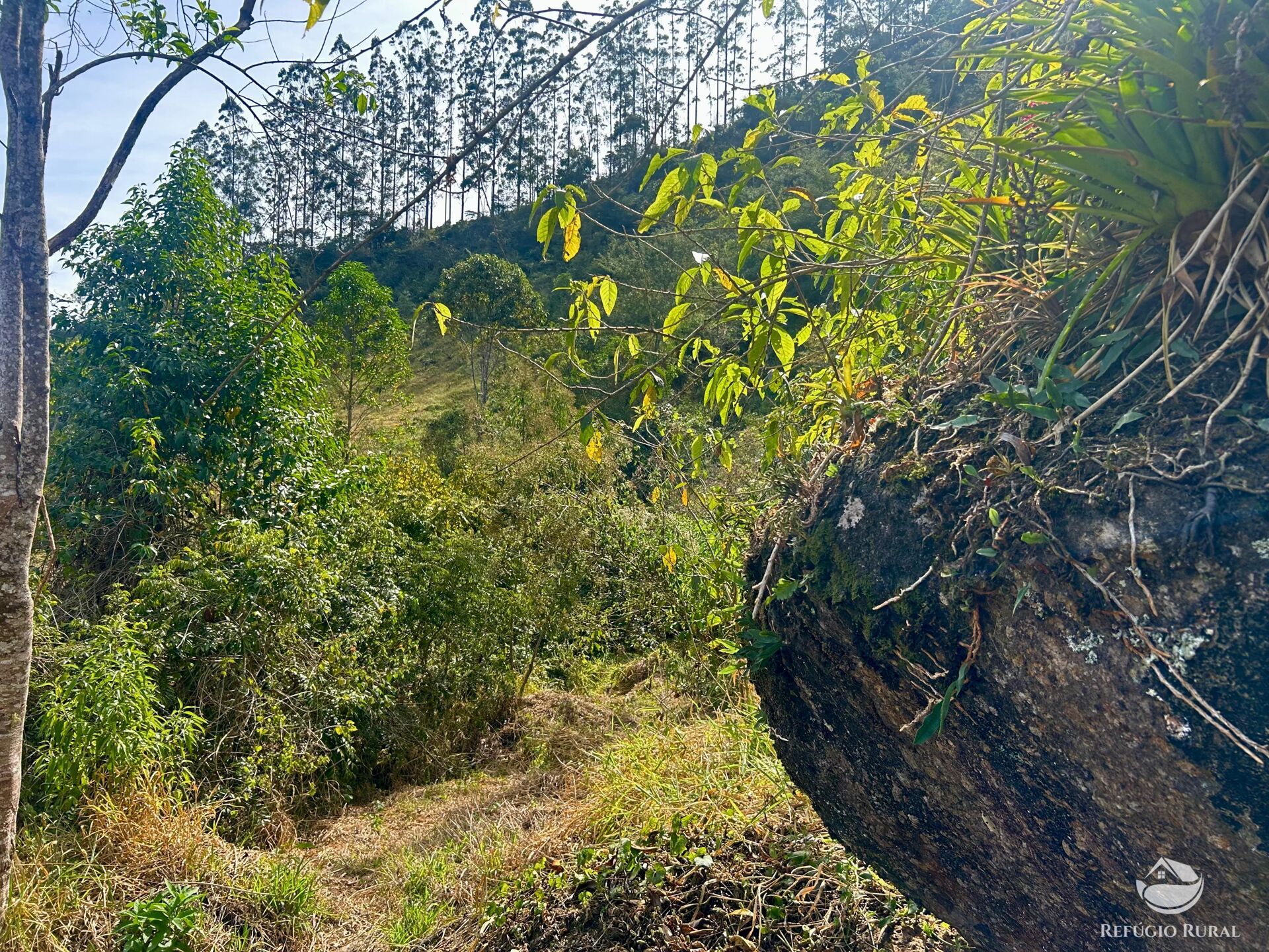 Terreno à venda, 40000m² - Foto 5