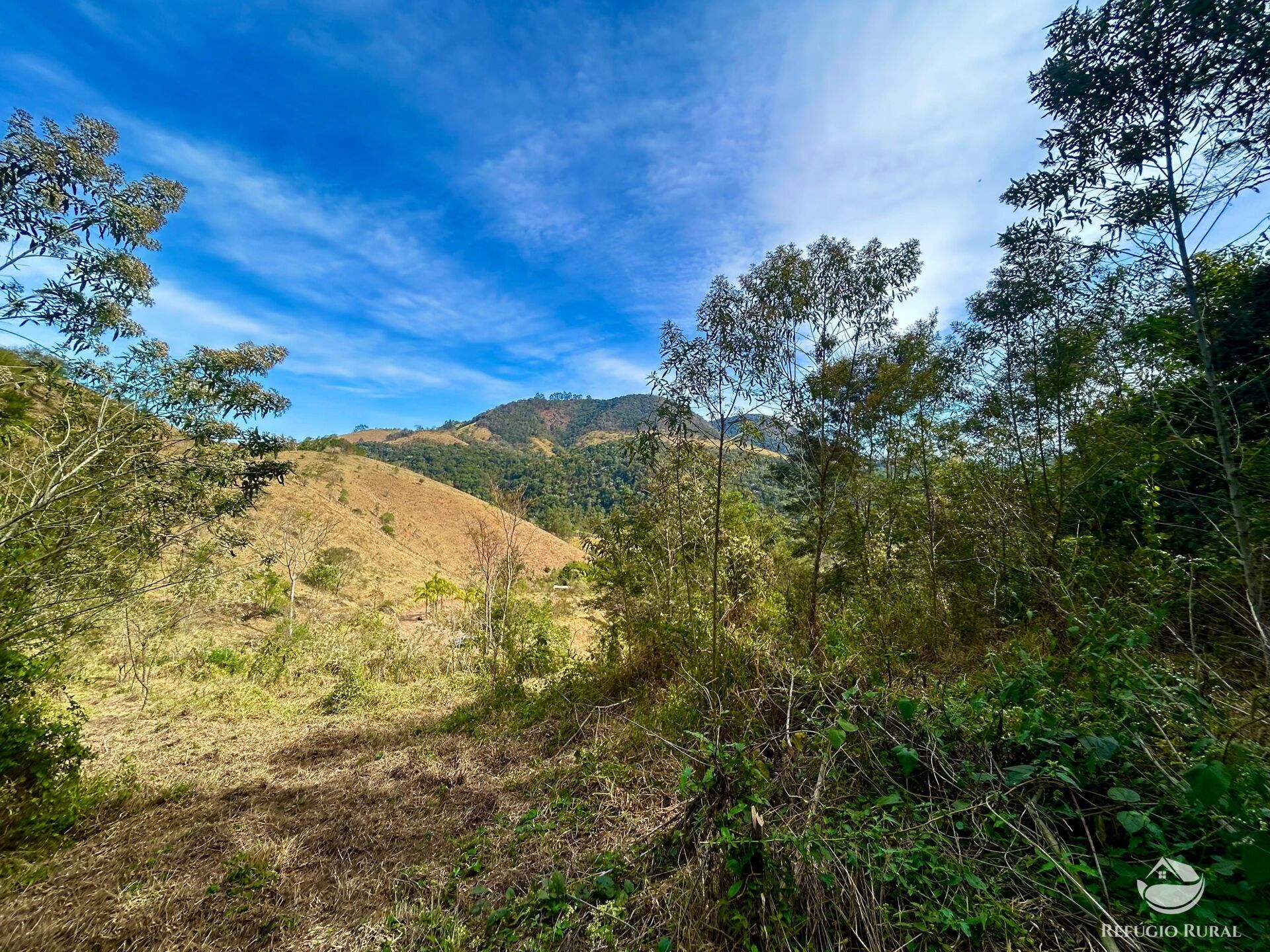 Terreno à venda, 40000m² - Foto 4