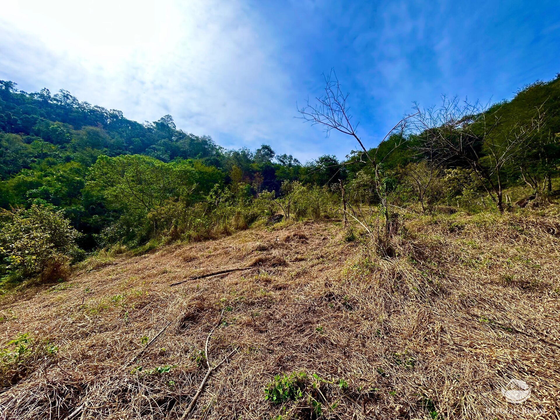 Terreno à venda, 40000m² - Foto 6