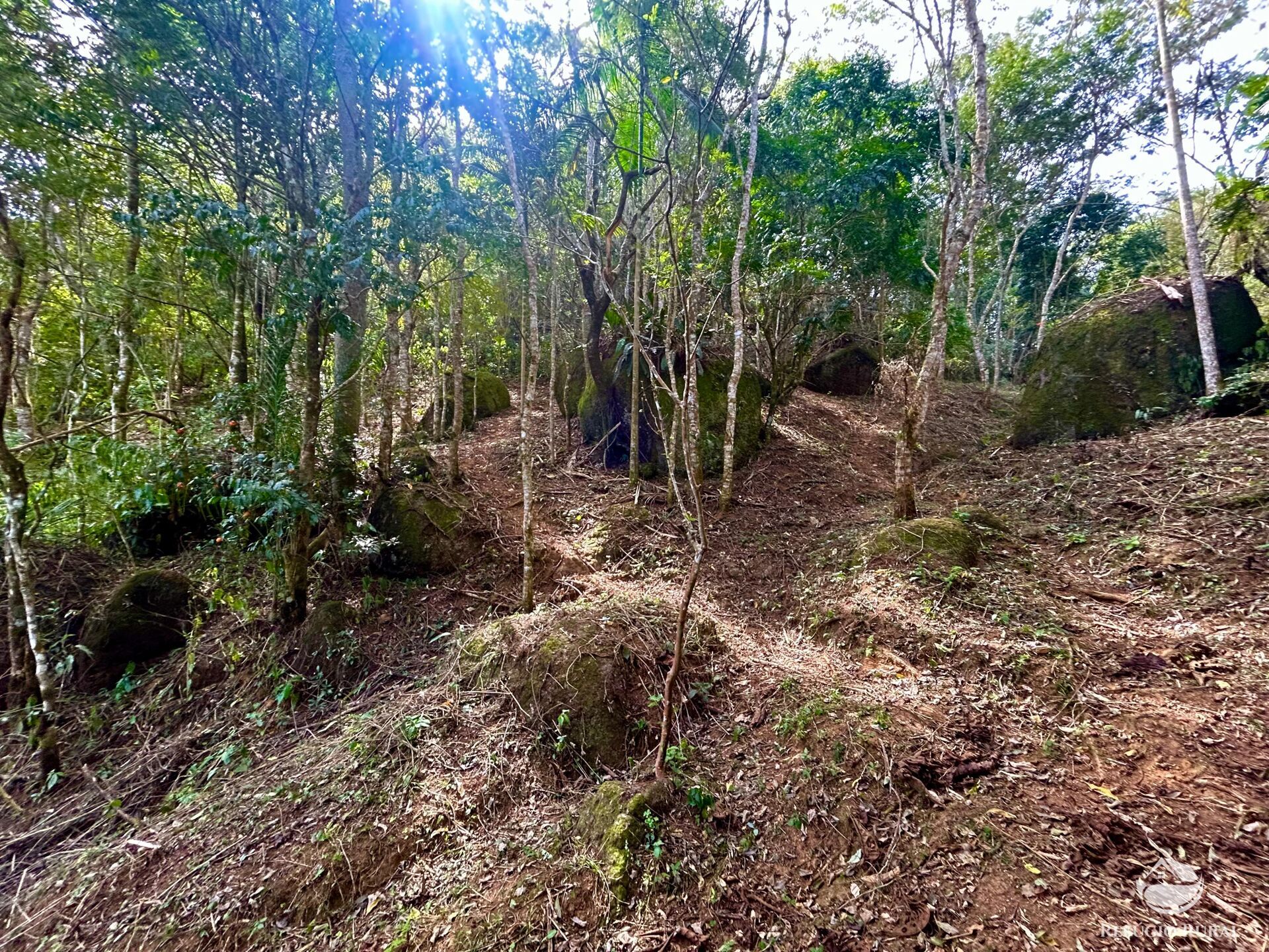 Terreno à venda, 40000m² - Foto 12