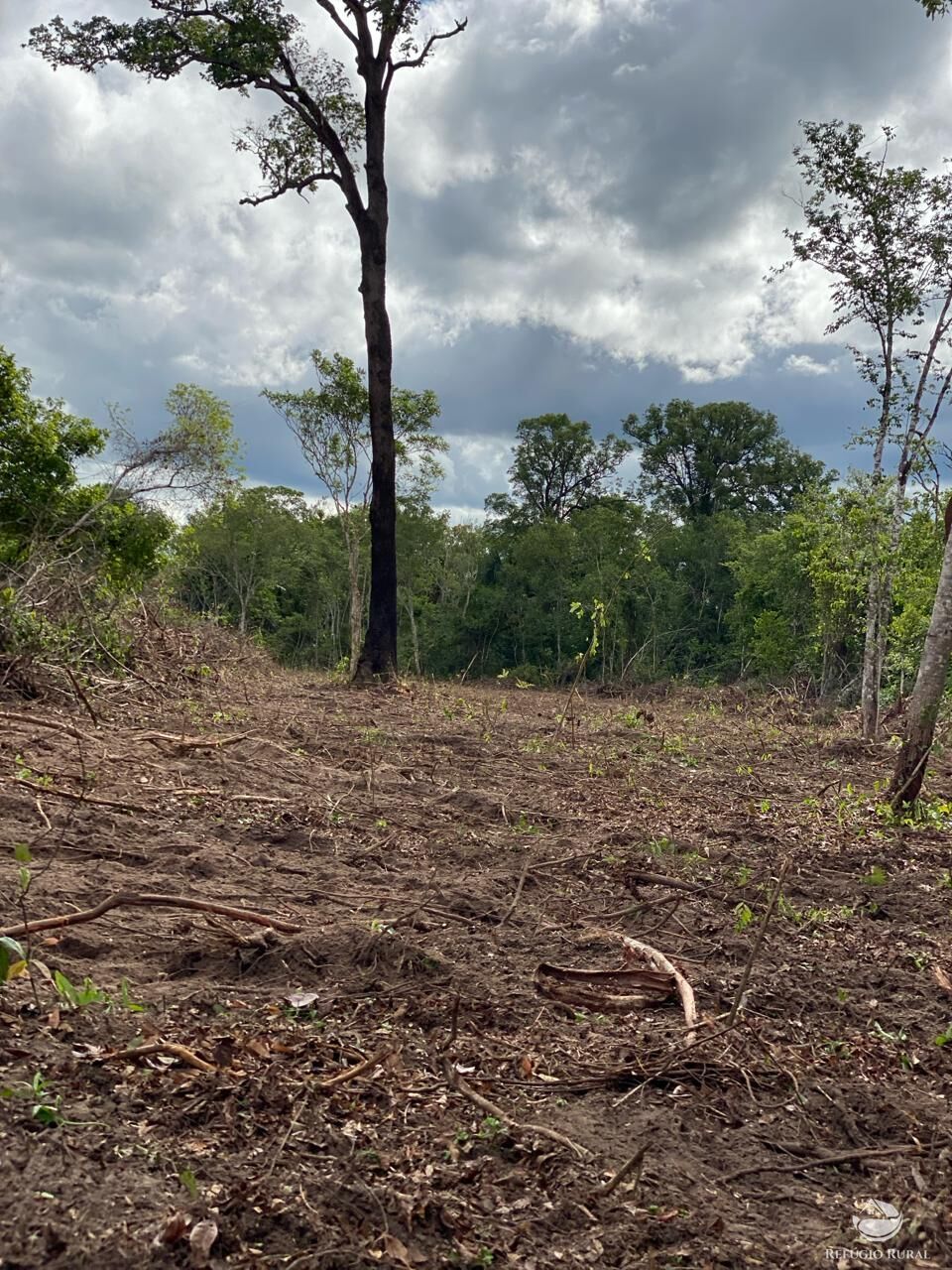 Fazenda à venda com 2 quartos, 19360000m² - Foto 6