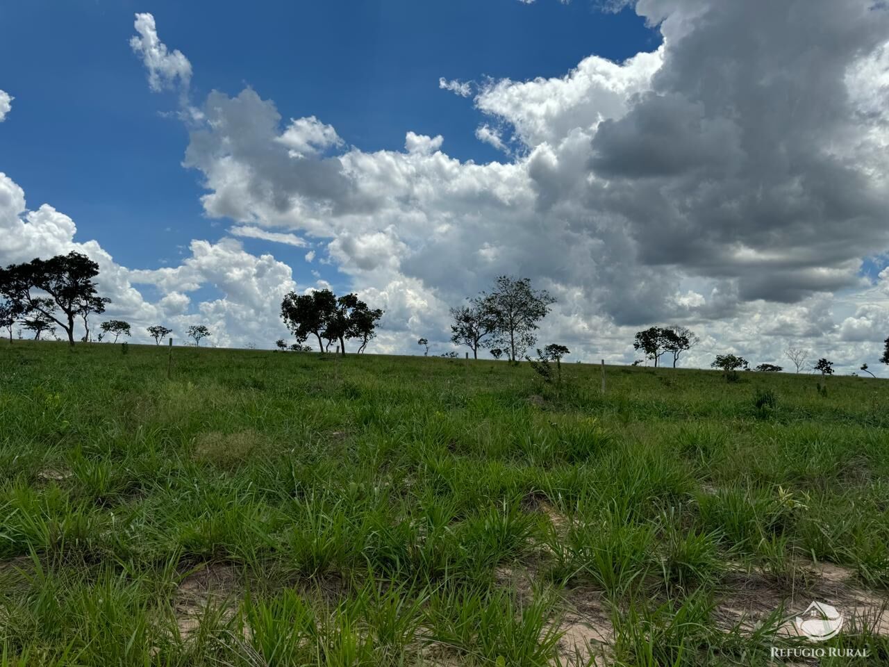 Fazenda à venda com 2 quartos, 19360000m² - Foto 27