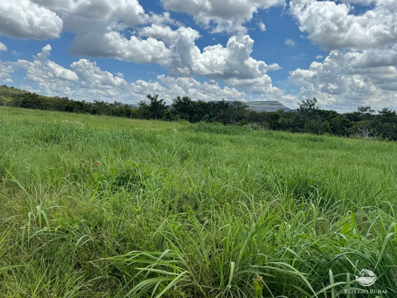 Fazenda à venda com 2 quartos, 19360000m² - Foto 26