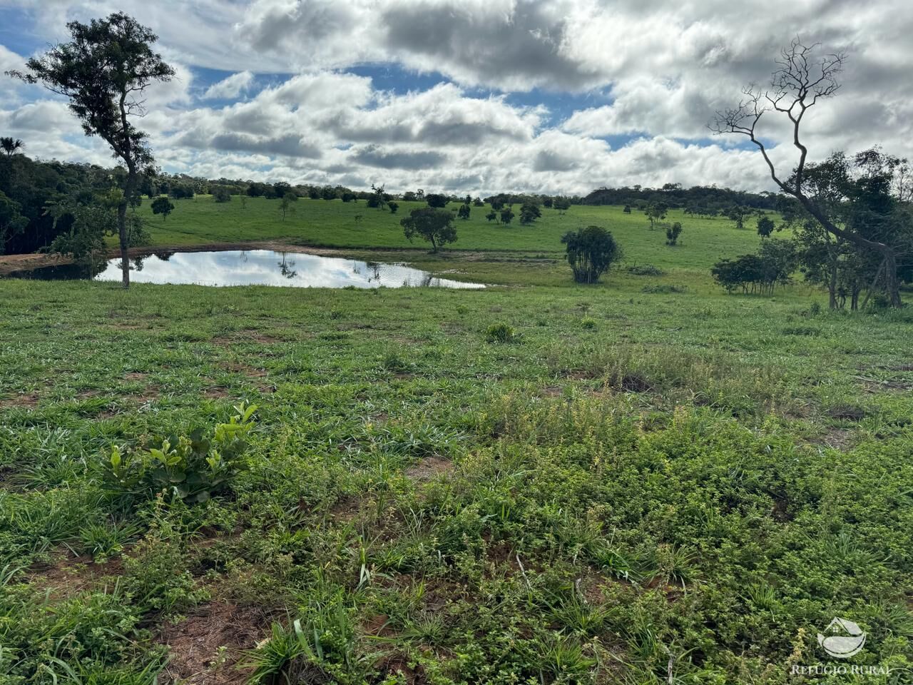 Fazenda à venda com 2 quartos, 19360000m² - Foto 14