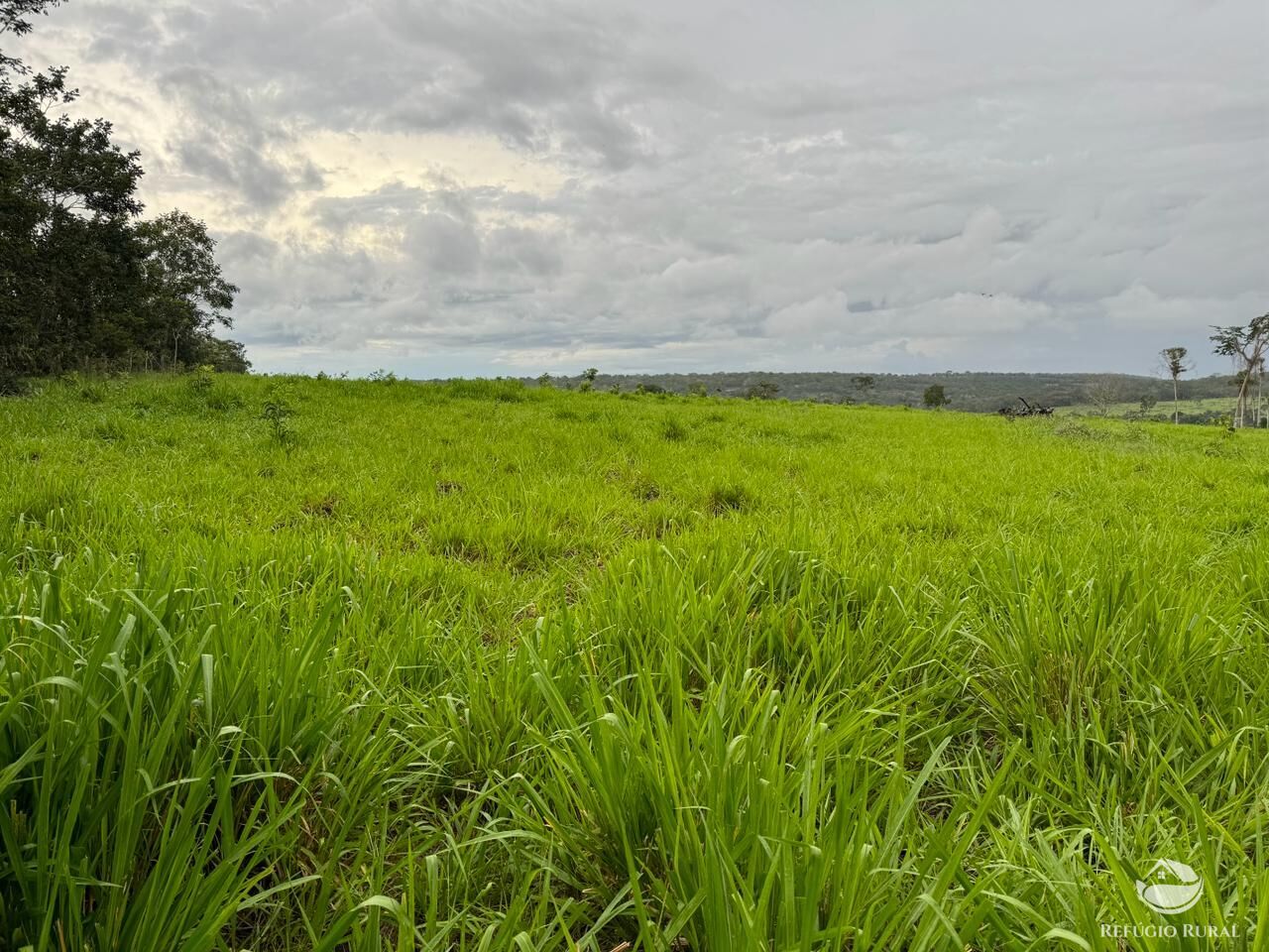 Fazenda à venda com 2 quartos, 19360000m² - Foto 17