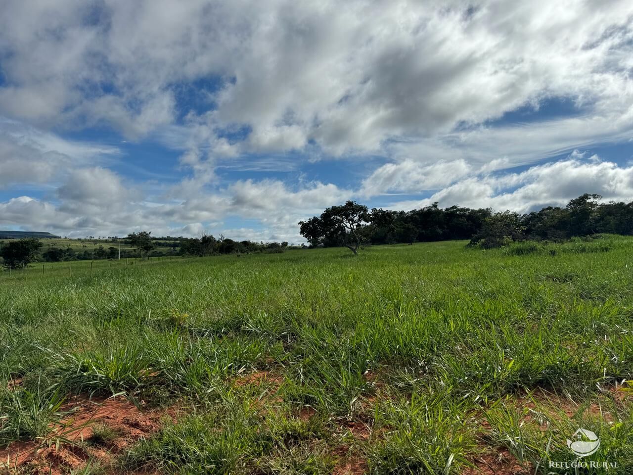 Fazenda à venda com 2 quartos, 19360000m² - Foto 10