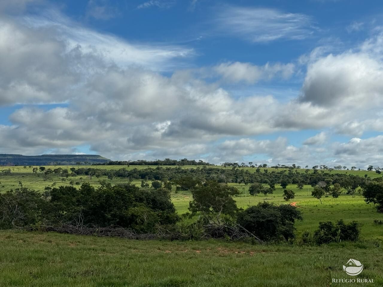 Fazenda à venda com 2 quartos, 19360000m² - Foto 15