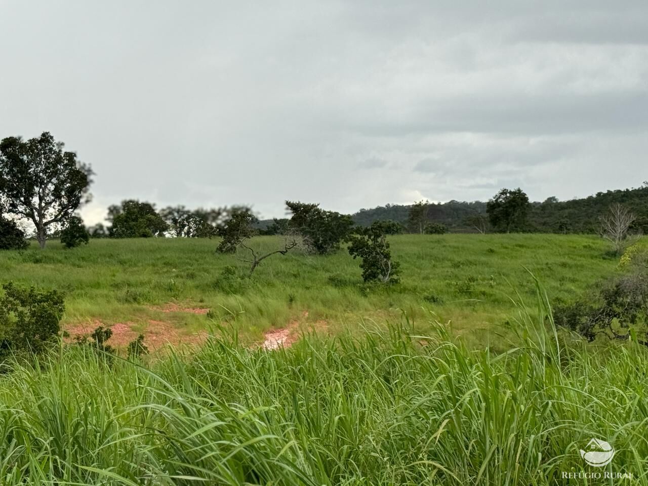 Fazenda à venda com 2 quartos, 19360000m² - Foto 16