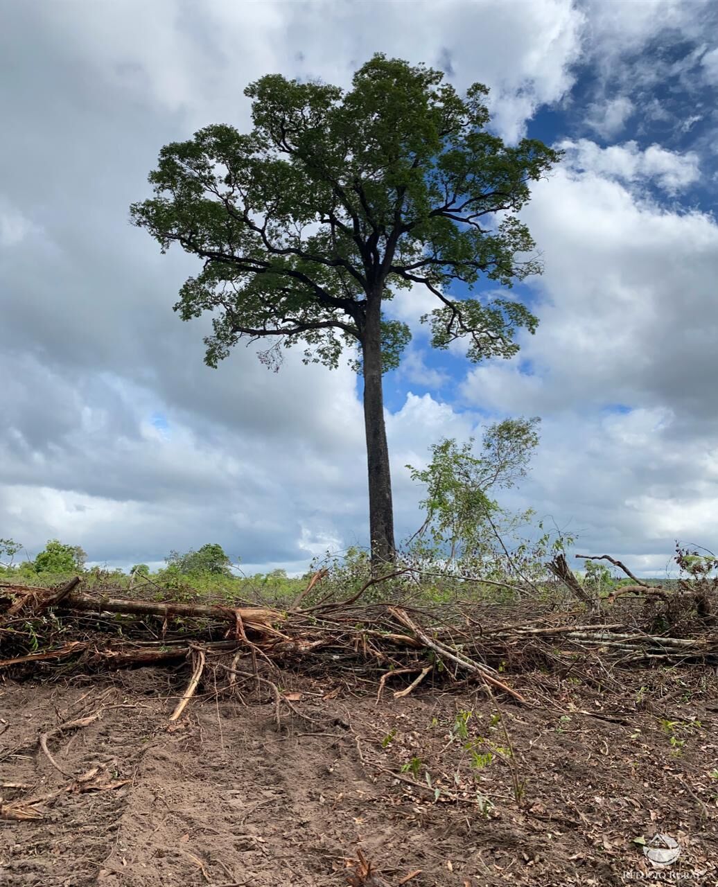 Fazenda à venda com 2 quartos, 19360000m² - Foto 12