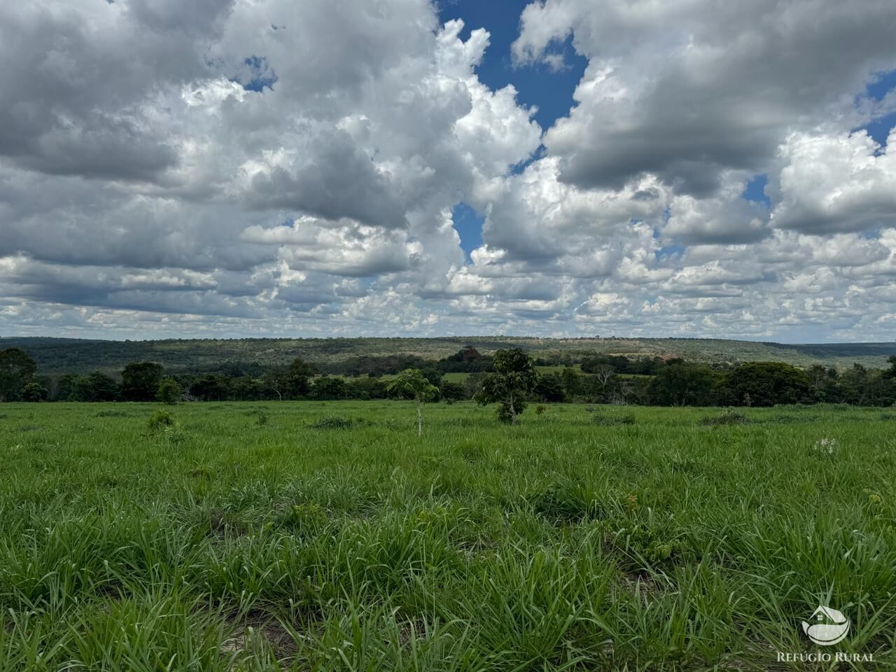 Fazenda à venda com 2 quartos, 19360000m² - Foto 24